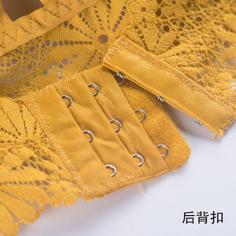 3D Sexy girl lace Lingerie Sea - Lace Bralette Set 리뷰 및 가격