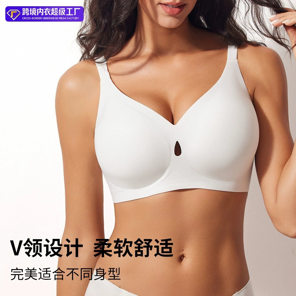 Women's Plus Size Bra, Full Co - Full Coverage Bra 리뷰 및 가격