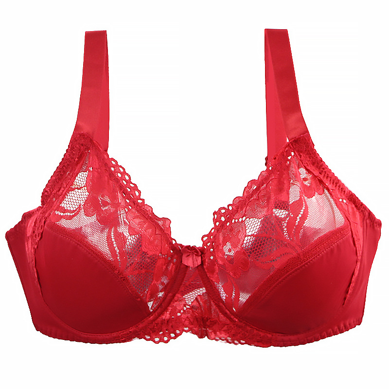 Minimizer Plus Size Underwire  - Full Coverage Bra 리뷰 및 가격